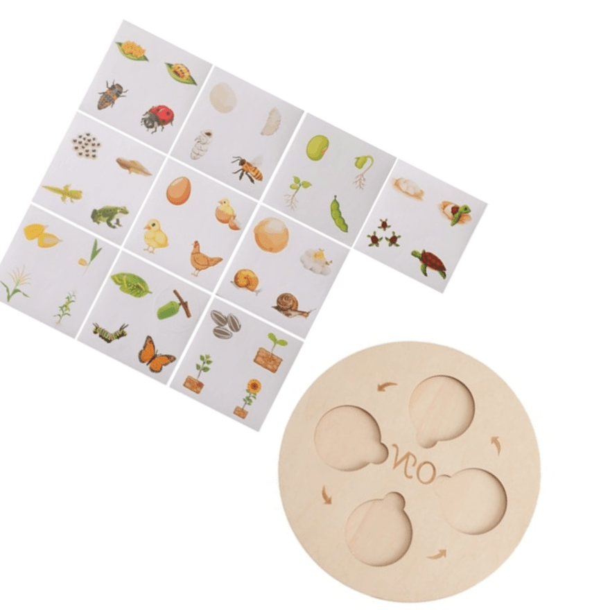 puzzle-en-bois-cycle-de-la-vie-plantes-animaux-montessori-montezzori-montezzori-7-41424835576029_2048x2048.png