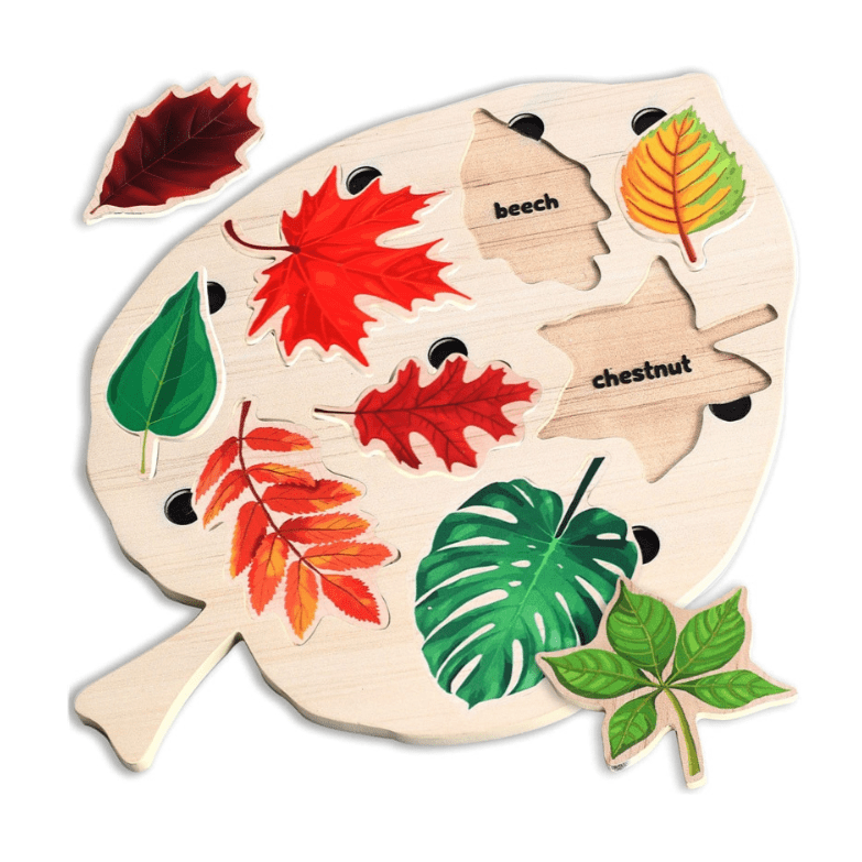 puzzle-en-bois-d-apprentissage-montessori-feuilles-montezzori-montezzori-small-size-41424836559069_2048x2048.png